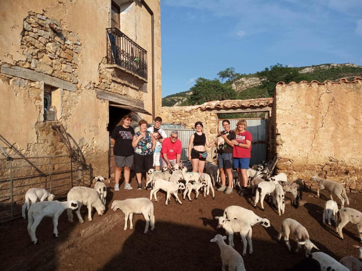 Casa Rural Amador Villarroya de los Pinares Екстериор снимка